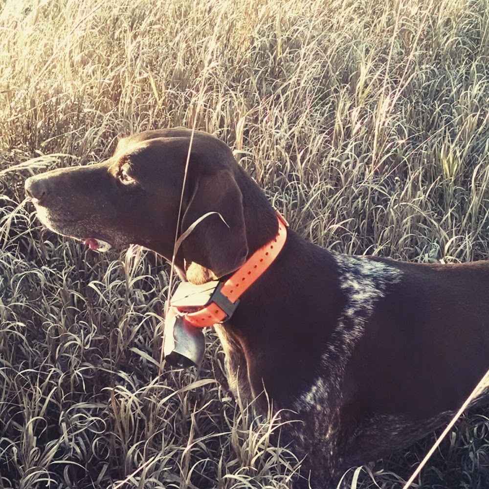 Meet your Posher, Quinn